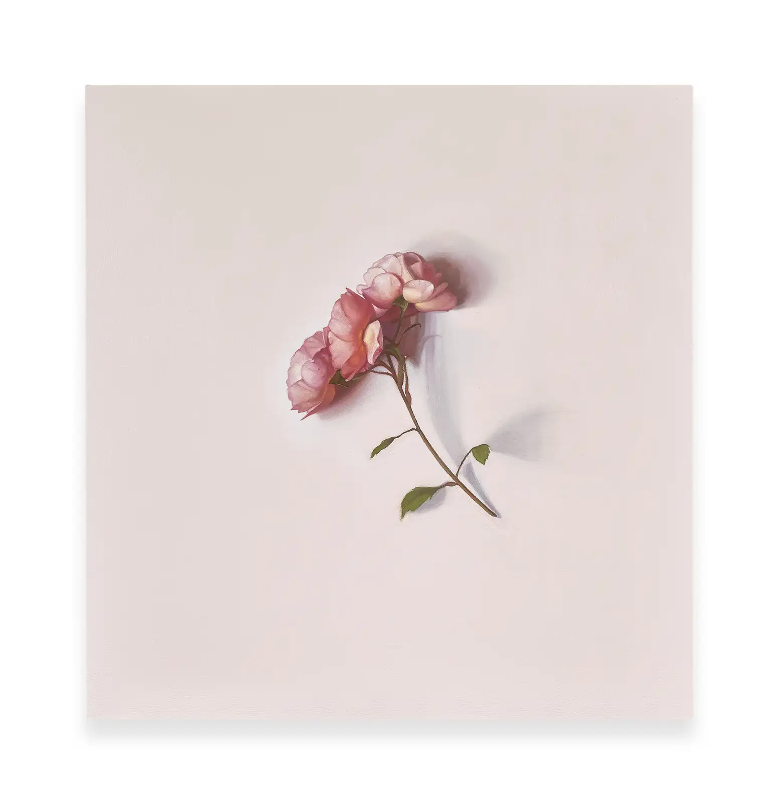 Alison Watt, 'Butterfly', 2024, Oil on canvas, 80 x 78 cm. Courtesy of the aritst and L&eacute;vy Gorvy Dayan