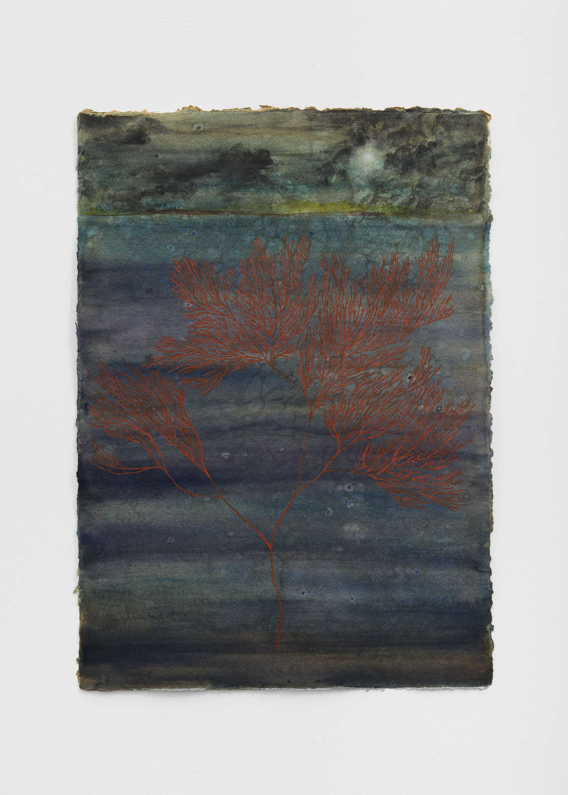 Chioma Ebinama, 'Night coral', 2024, watercolour and coffee on khadi paper, 42 x 30 cm. Courtesy of the artist and Maureen Paley, London.