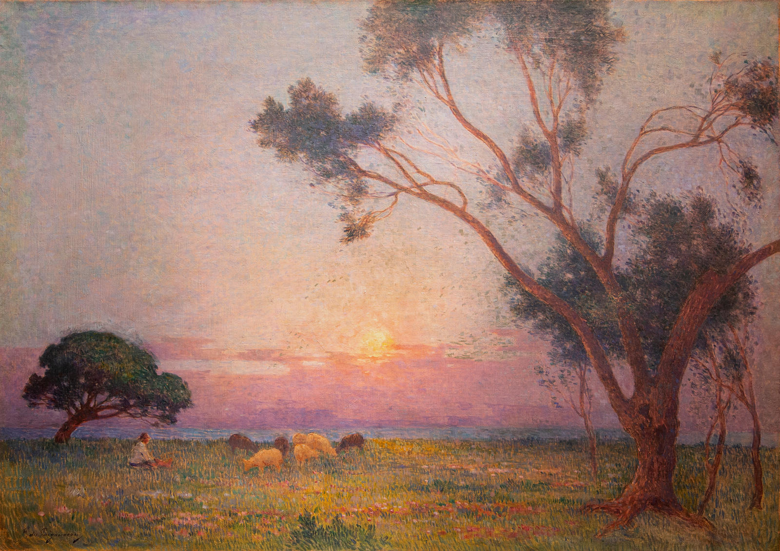 Berger et ses Moutons au Soleil Couchant