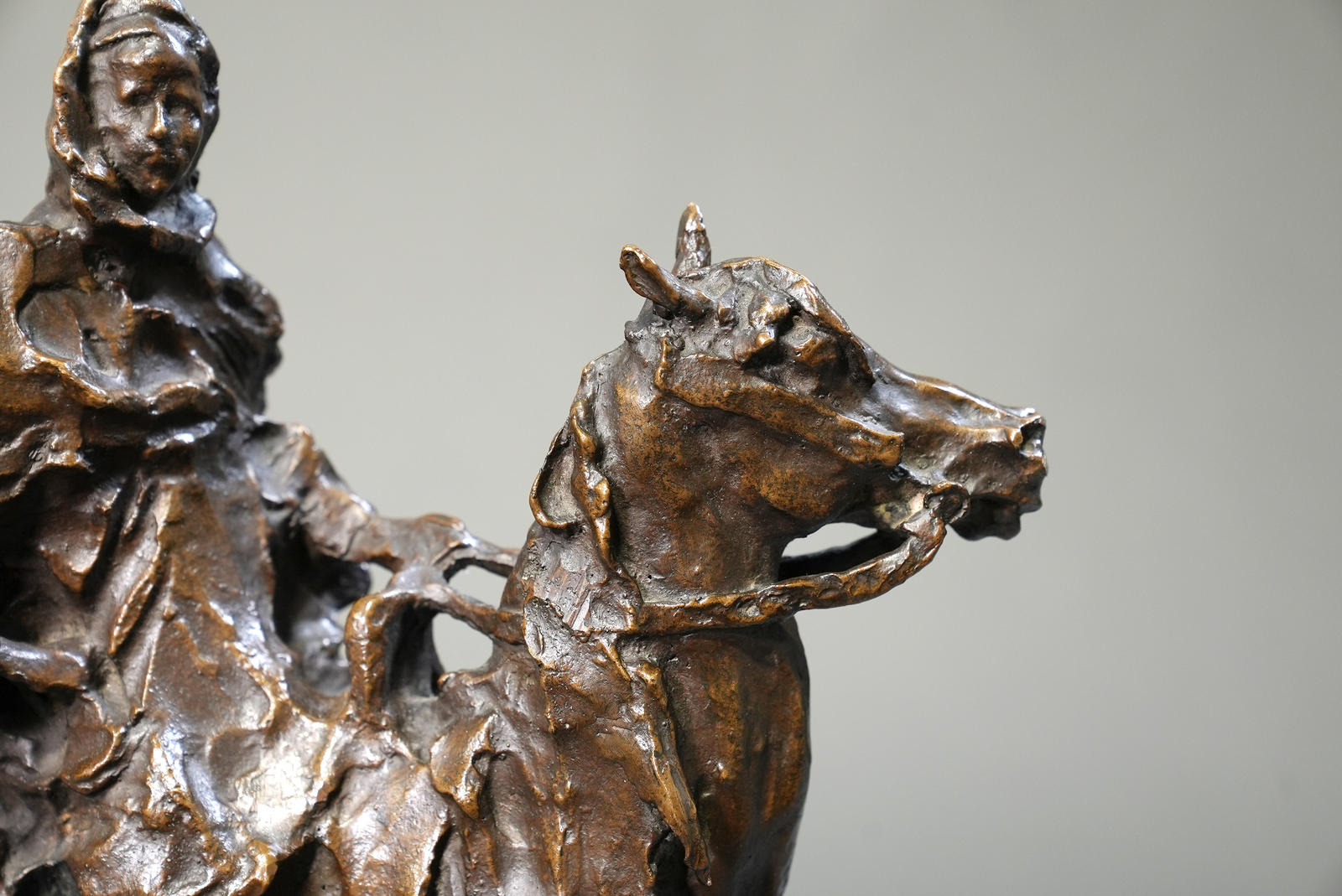 A Berber and Arab Stallion