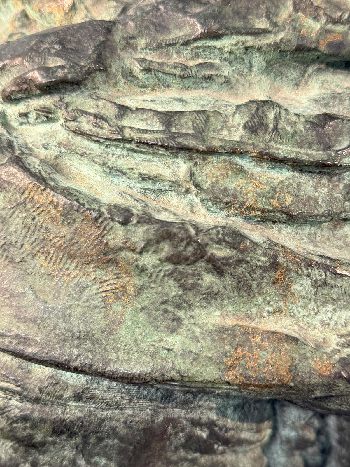 Bust of an Old Woman