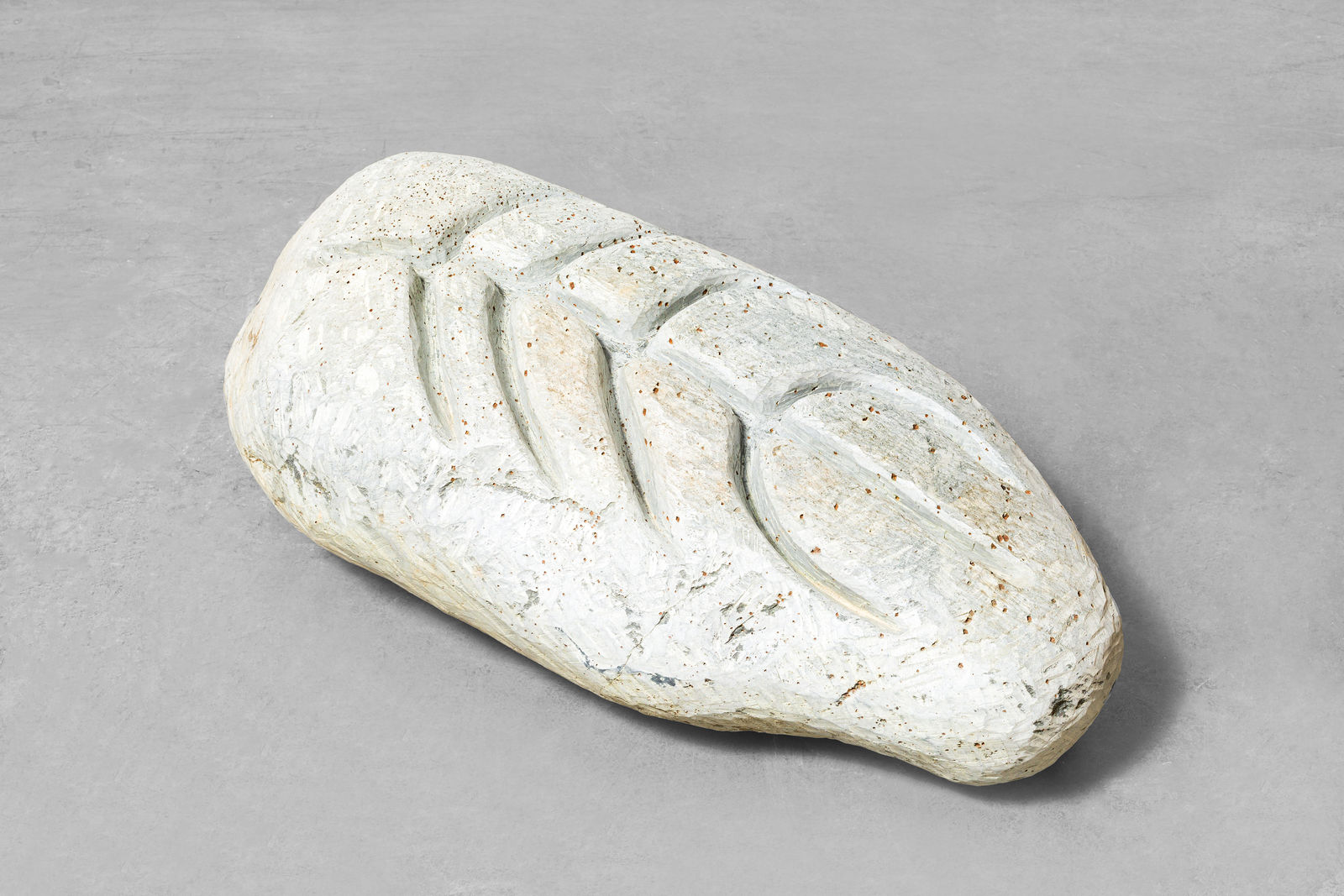 Solange Pessoa, Sem título, da série Répteis - Estruturas Ósseas/Untitled, from the Répteis - Estruturas Ósseas series, 2019 - 2021