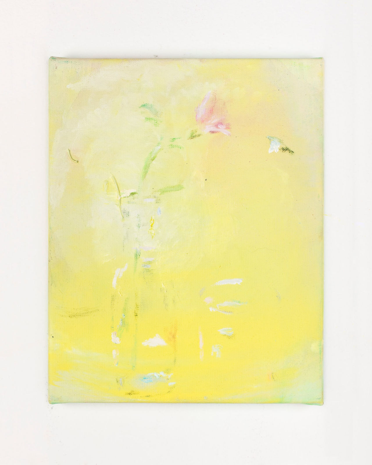 Maaike Schoorel, Geel stekje (Pelargonium), 2020