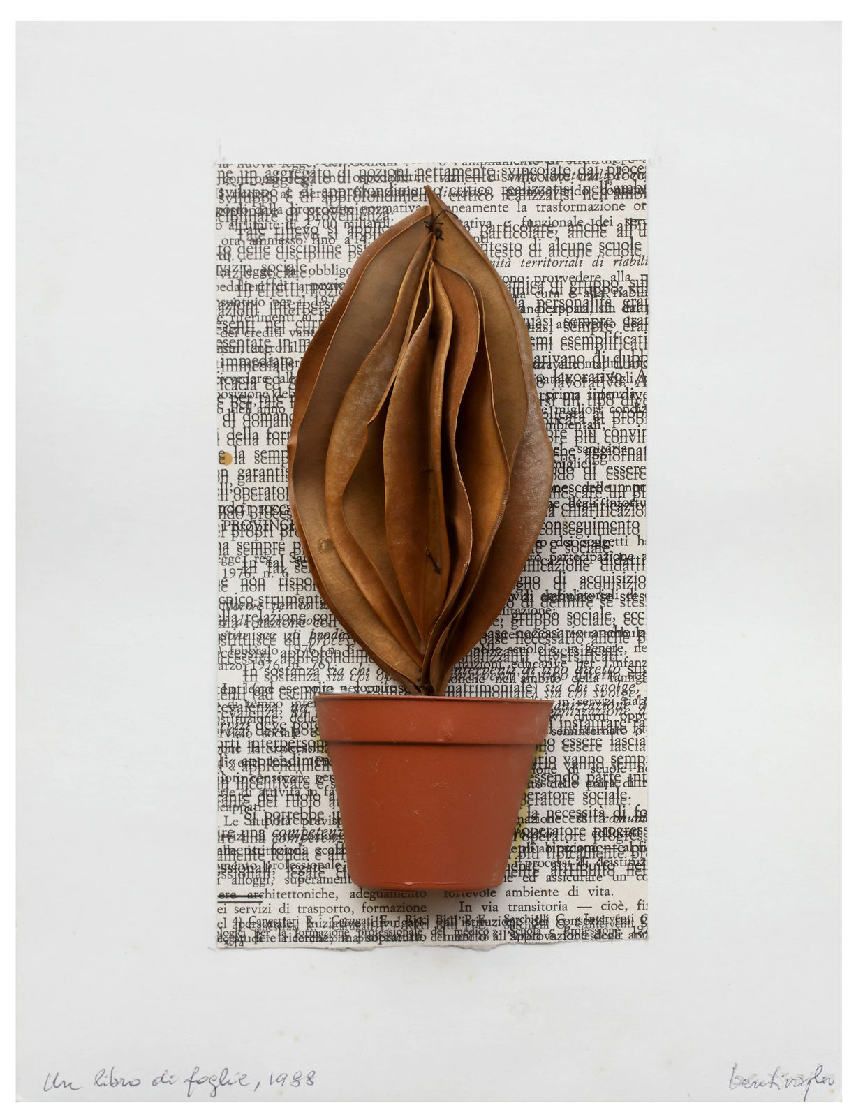 Mirella Bentivoglio, A book of leaves, 1988
