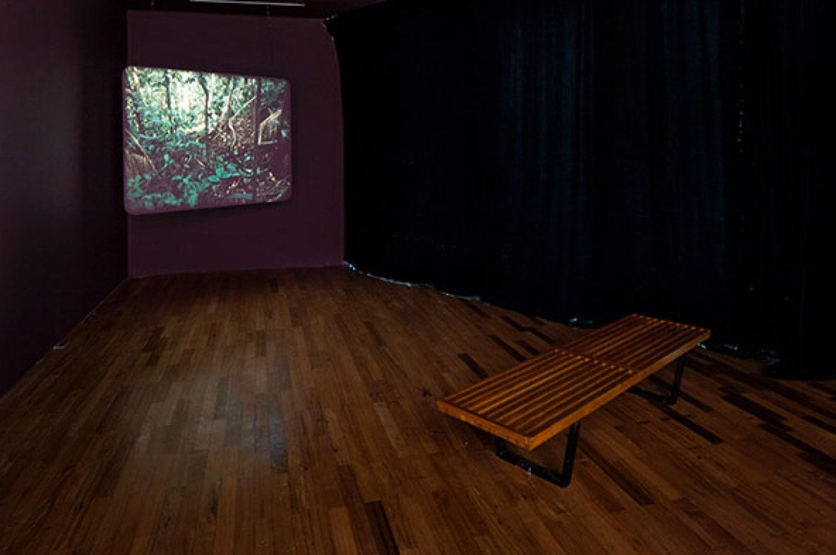 Daniel Steegmann Mangrané, Spiral Forest (kingdom of all the animals and all the beasts is my name), 2014-2015