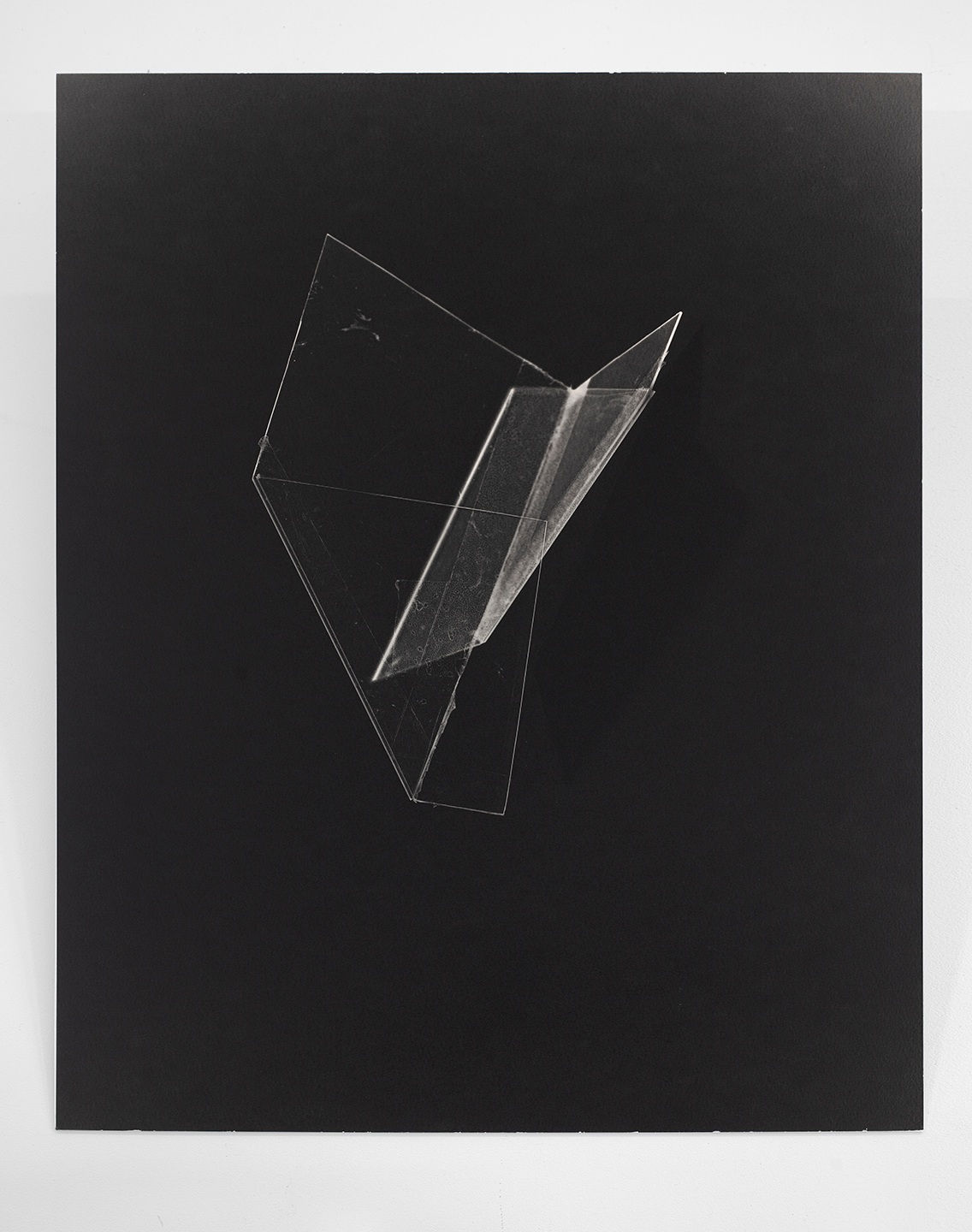 Leticia Ramos, Bichos Quadrados IV, 2019