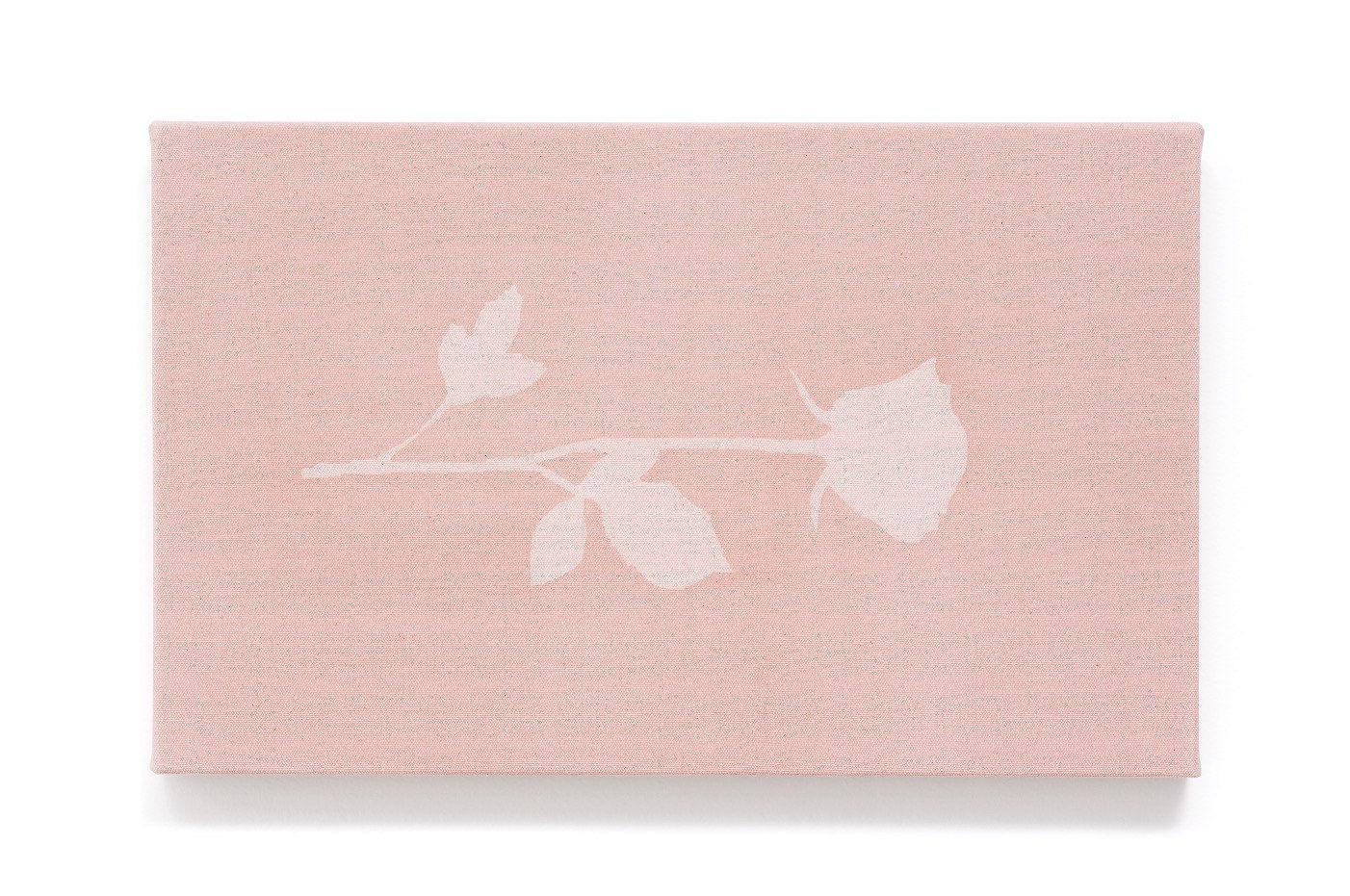 Francesco João, Rainy afternoon, 2017