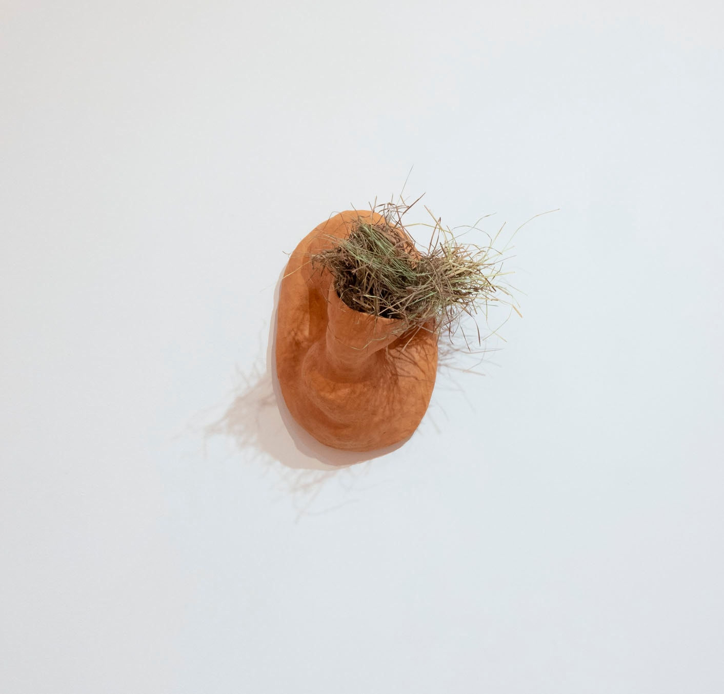 Solange Pessoa, Domingas, 2023