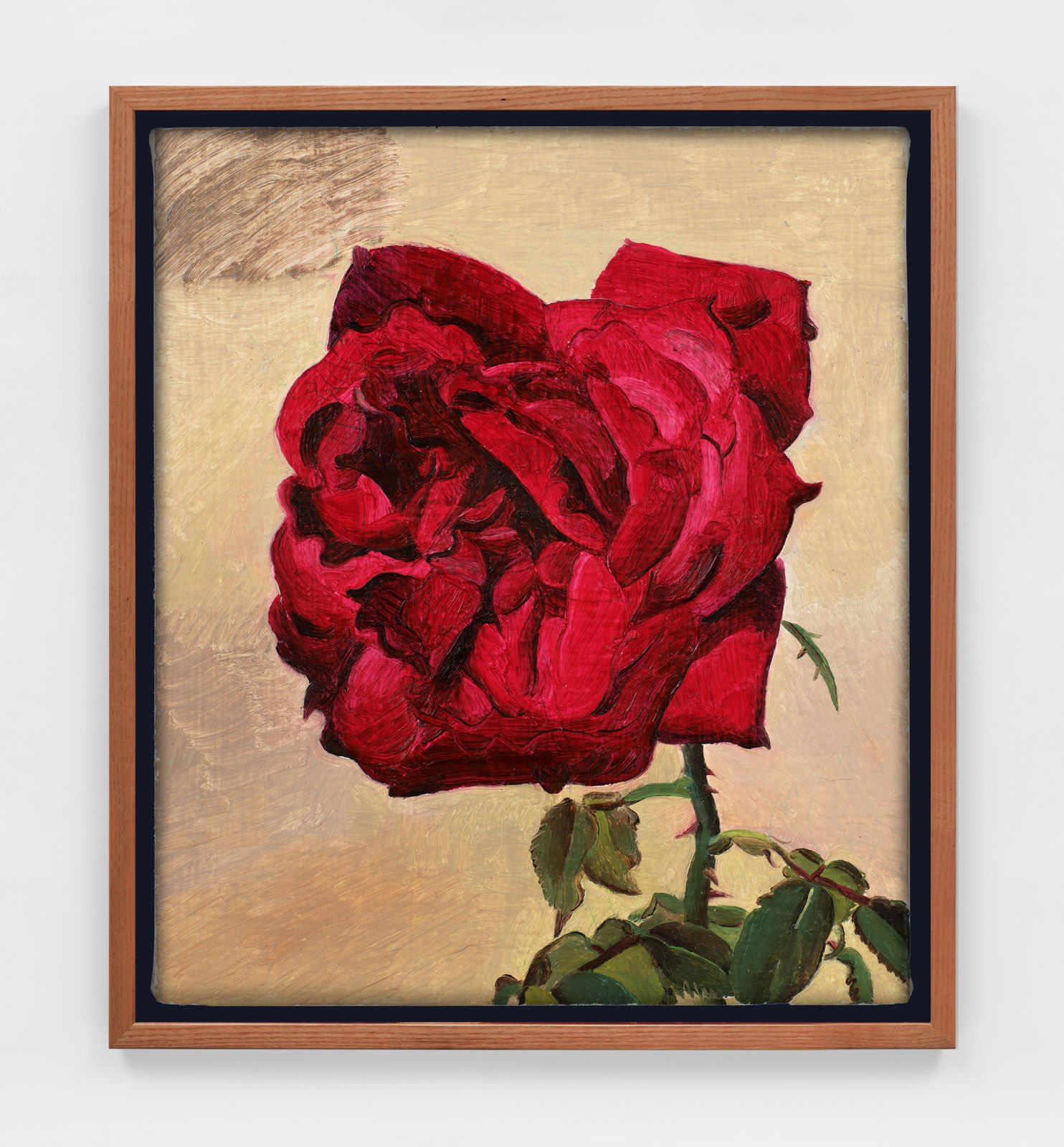 Kent O'Connor, Wild Rose from the Garden, 2025