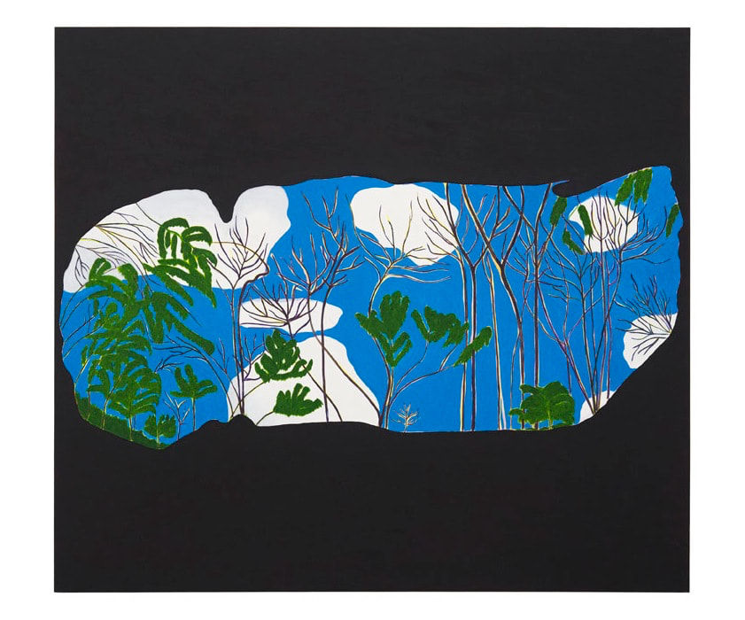 Patricia Leite, Gruta, 2014