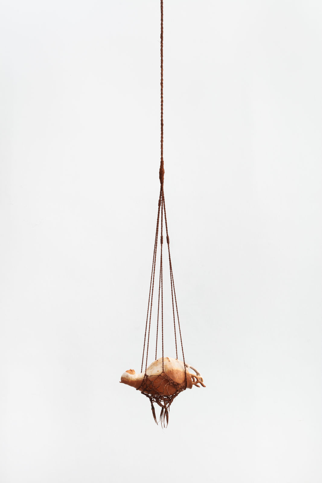 Josi, urutuau,da série: isca de chão | urutuau, from the series: floor bait, 2024