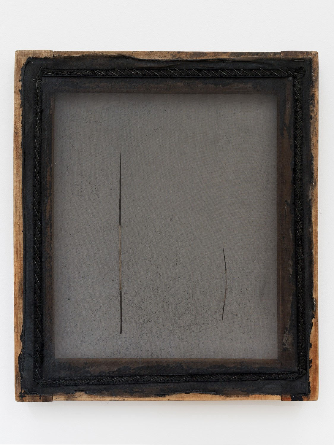 Paloma Bosquê, Espinhos #7 | Thorns #7, 2020