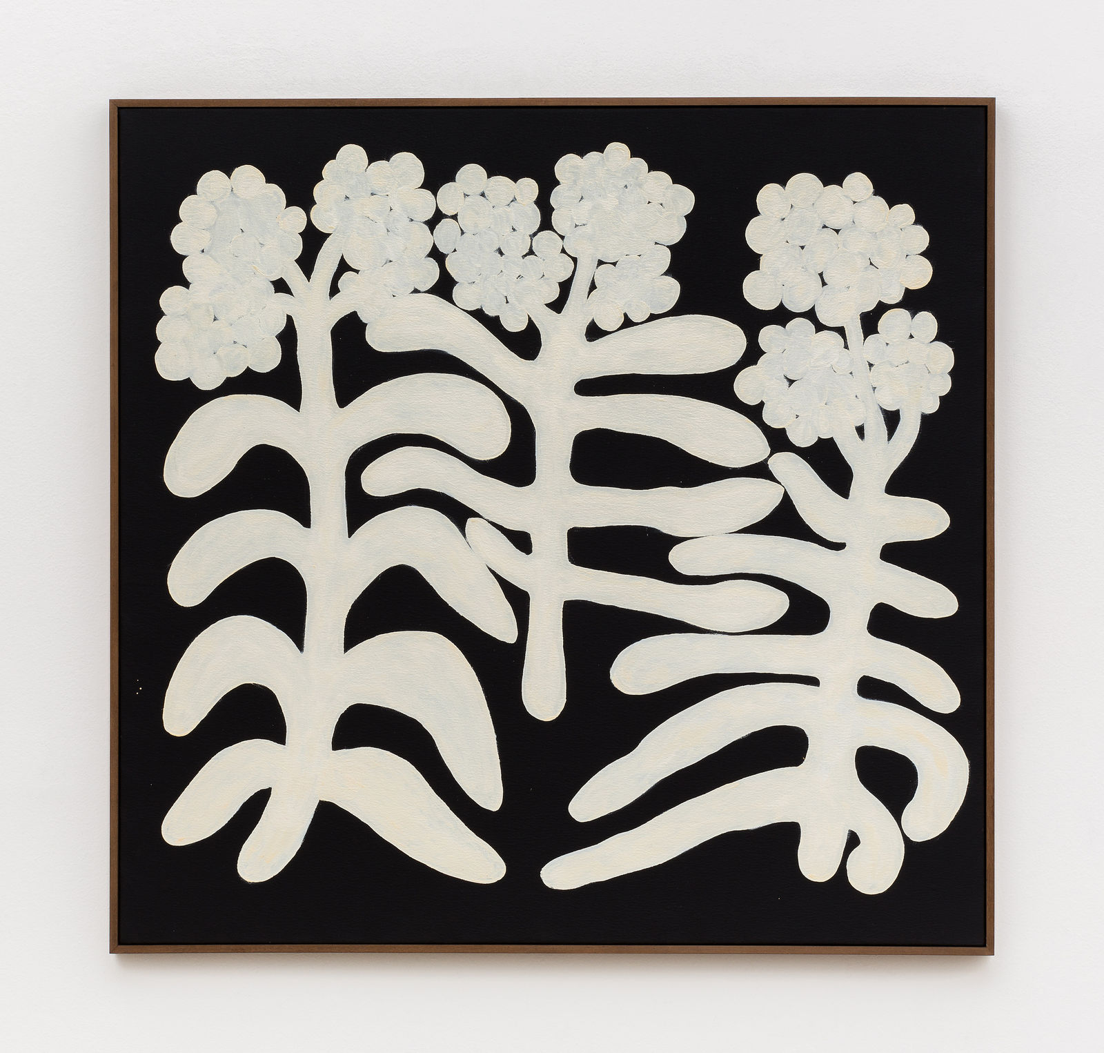 Solange Pessoa, Untitled, from Botânicas series, 2018