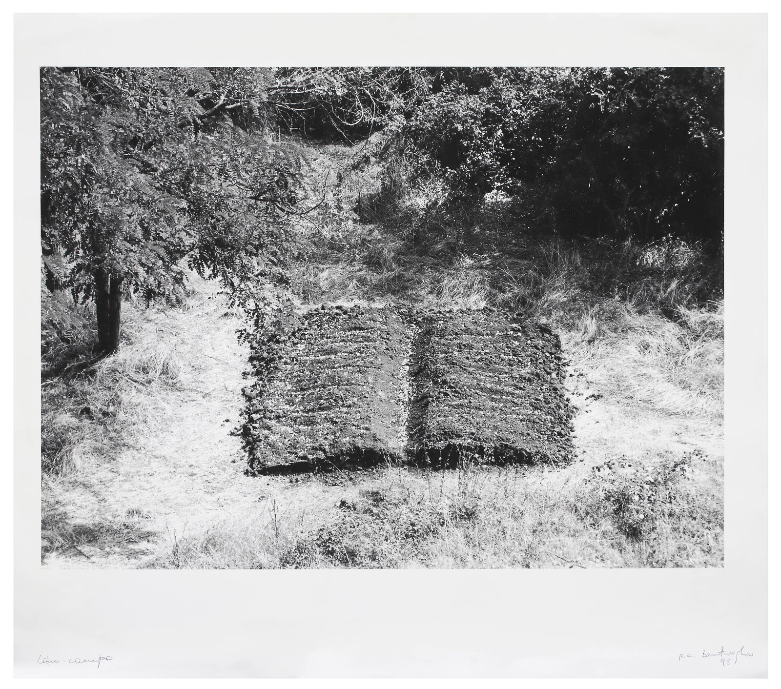 Mirella Bentivoglio, Book-Field , 1998