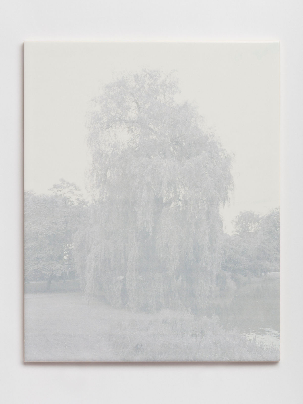 Prem Sahib, Parc de Woluwe, Brussels, 2017