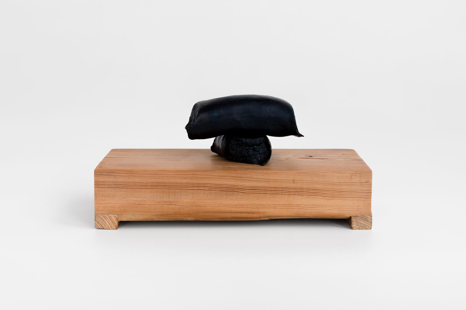 Paulo Monteiro, Untitled | Sem título, 2024