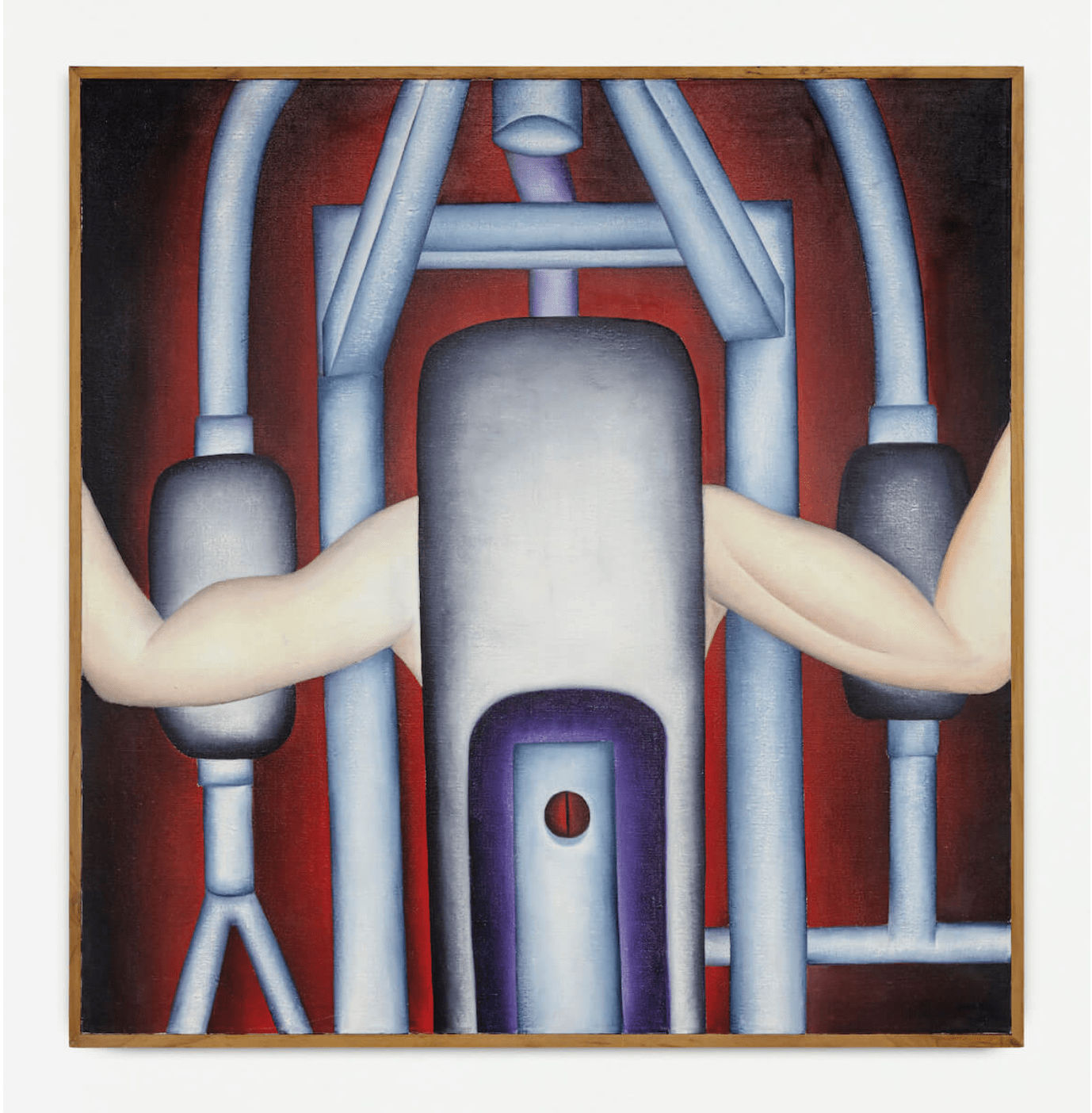 Antonio Henrique do Amaral, Máquina II, 1979