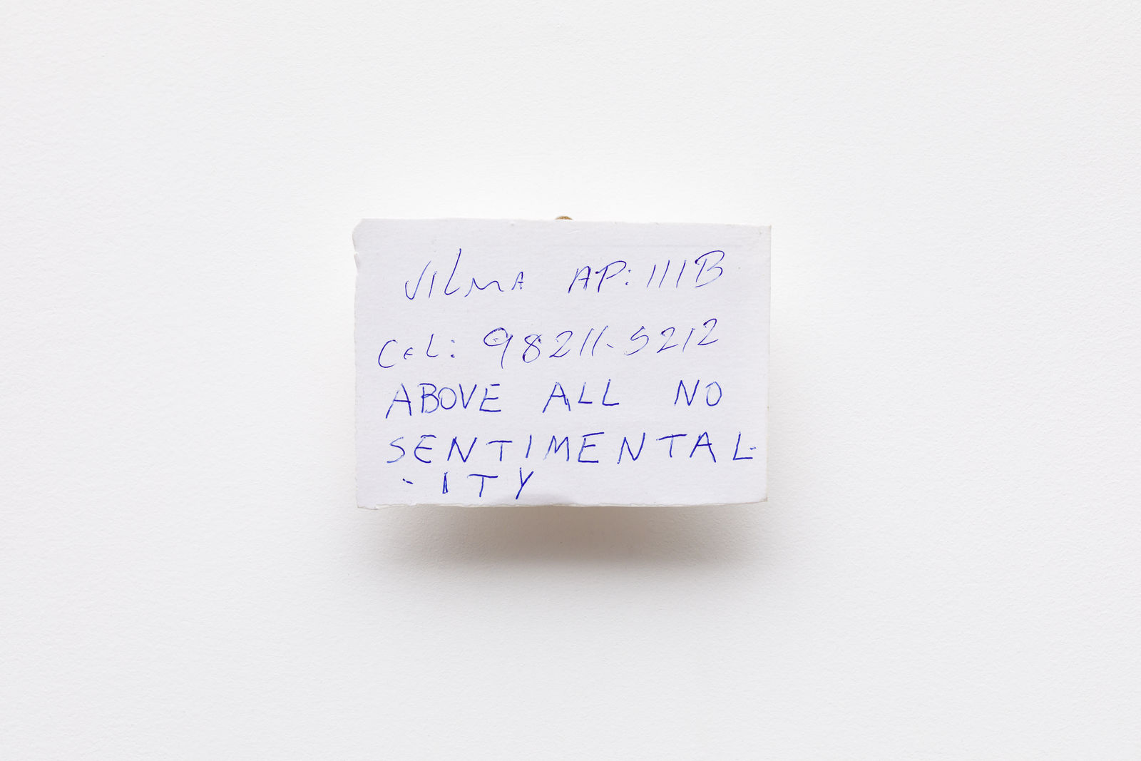 Adriano Costa, Above all no sentimentality, 2023