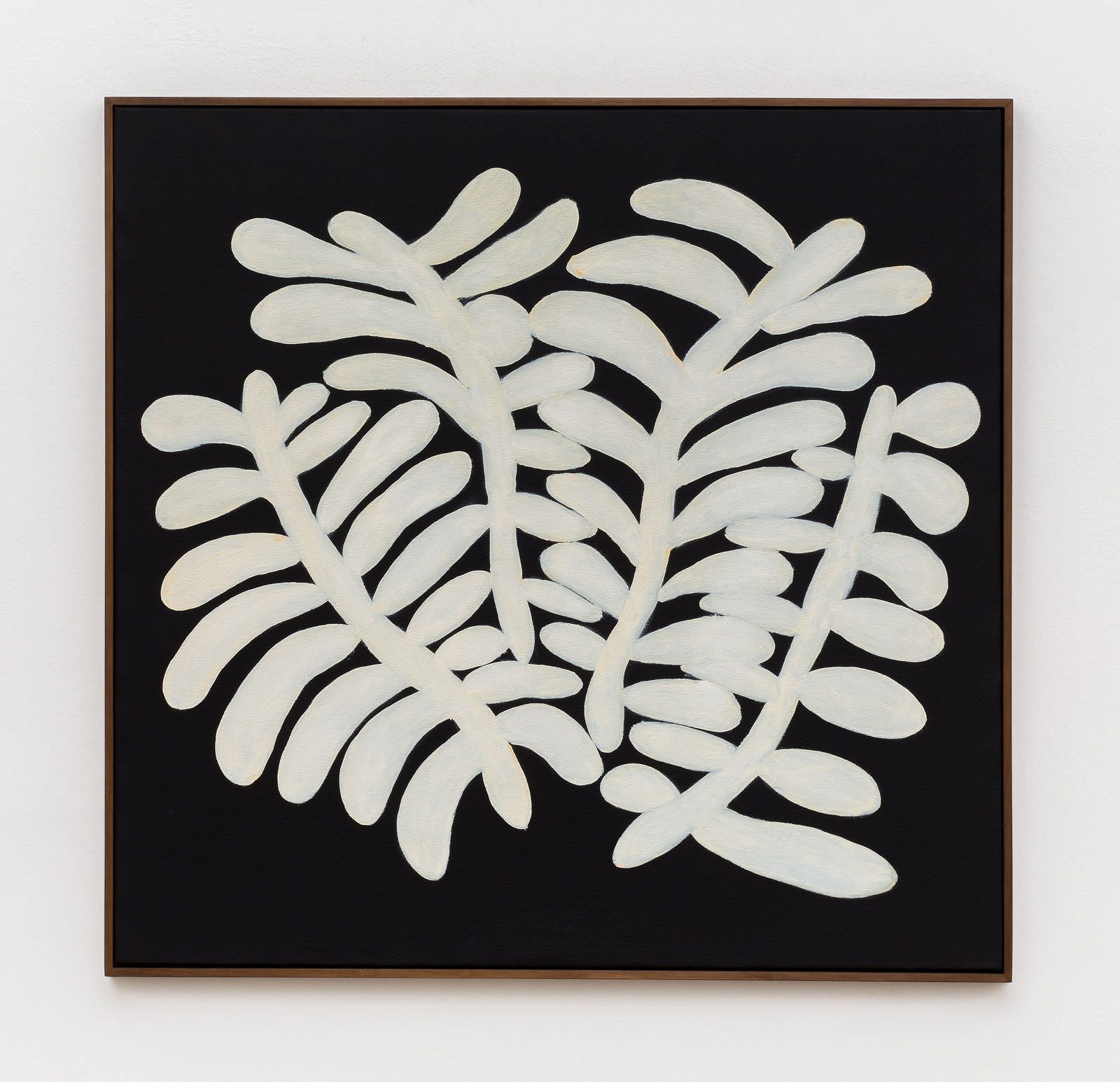 Solange Pessoa, Untitled, from Botânicas series, 2017