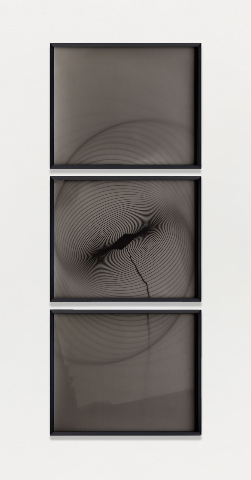 Leticia Ramos, Whitenoise_triptico, 2025