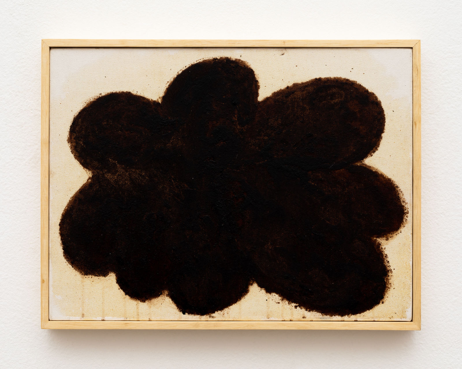 Solange Pessoa, Untitled, 2013 - 2017