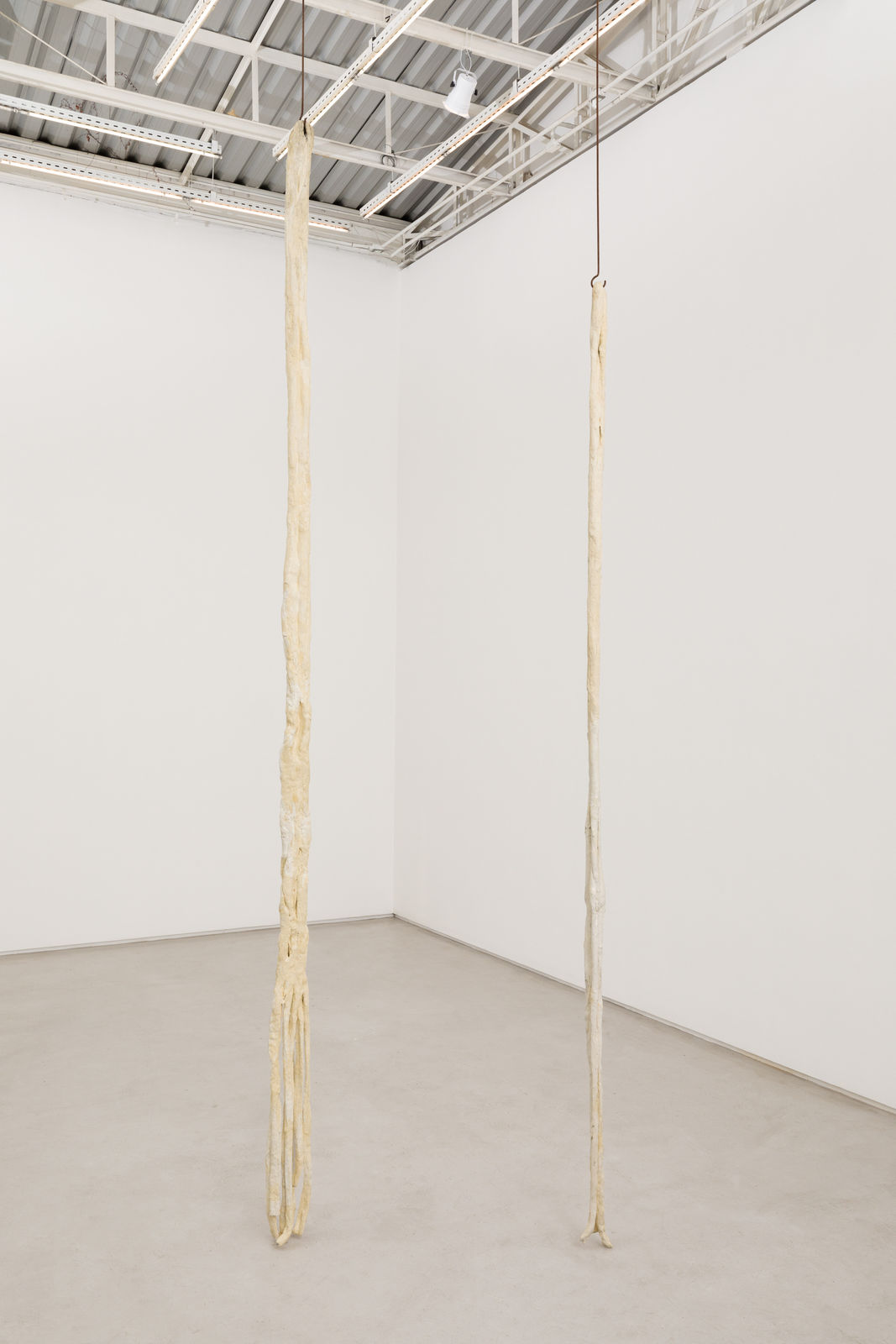 Paloma Bosquê, Sargaço | Seaweed, 2020