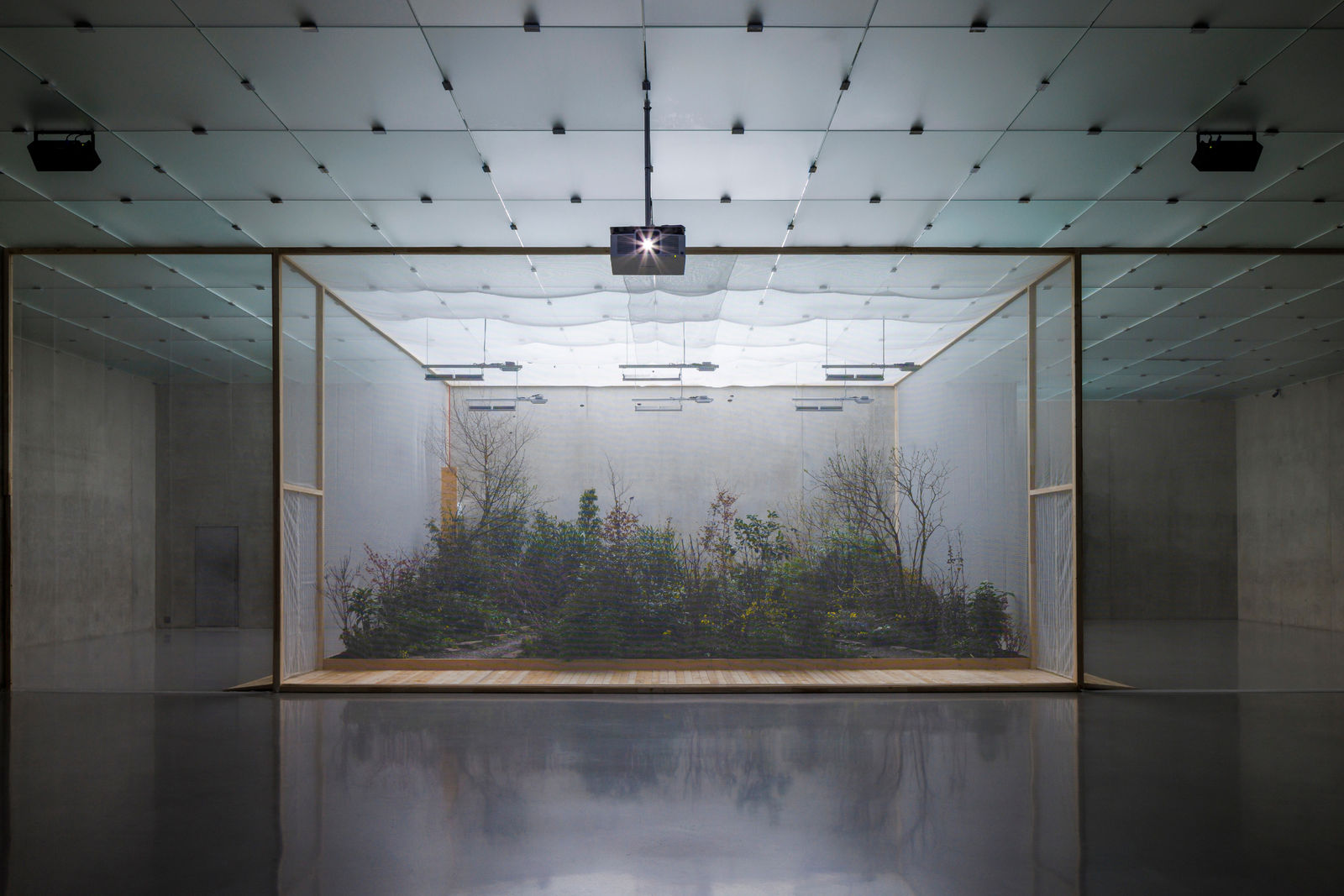 Precious Okoyomon, the world requires something of me and I’m looking for a place to lie down, 2025