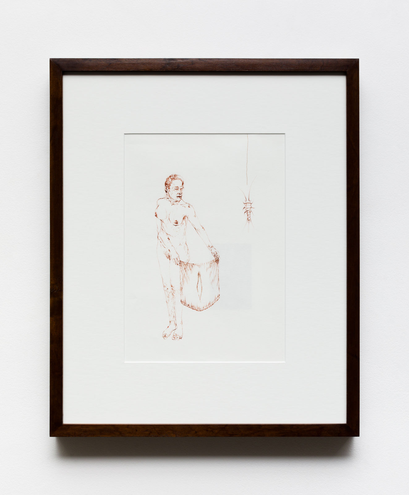 Antonio Obá, Lepisma, 2023