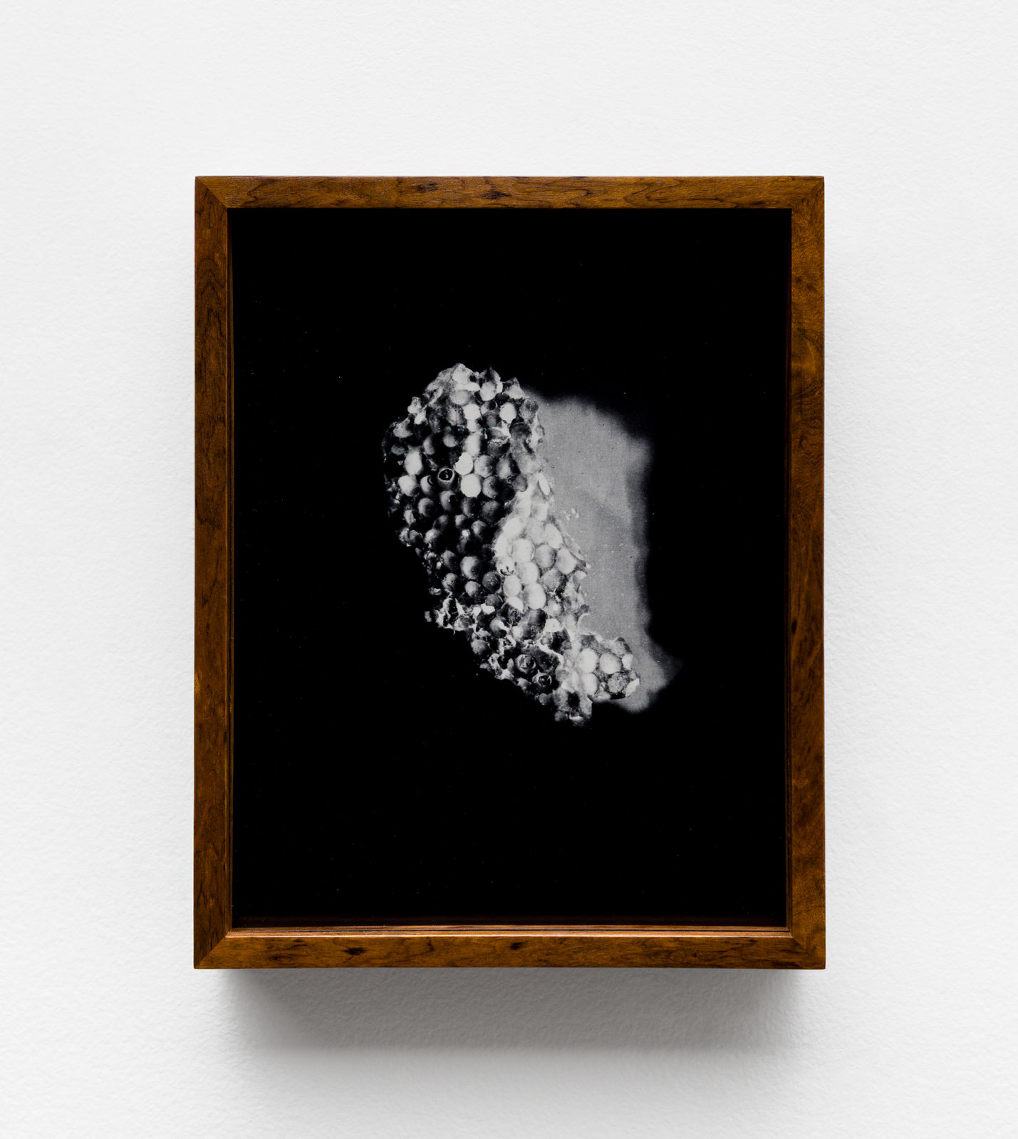 Leticia Ramos, meteorito3, 2013-2023