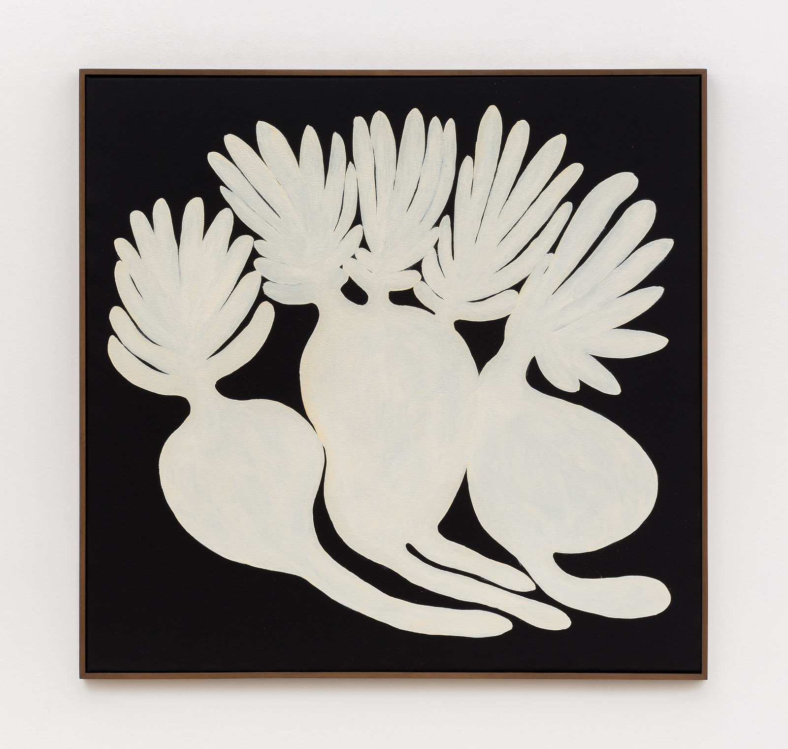 Solange Pessoa, Untitled, from Botânicas series, 2017