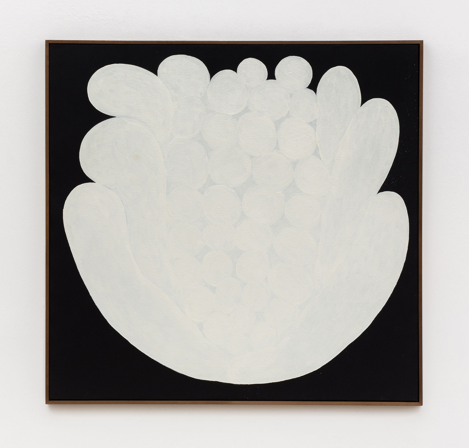 Solange Pessoa, Untitled, from Botânicas series, 2018