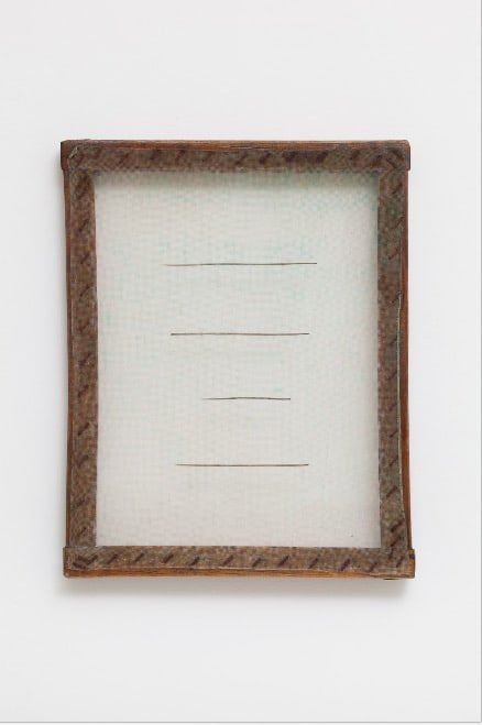 Paloma Bosquê, Espinhos #2, 2016