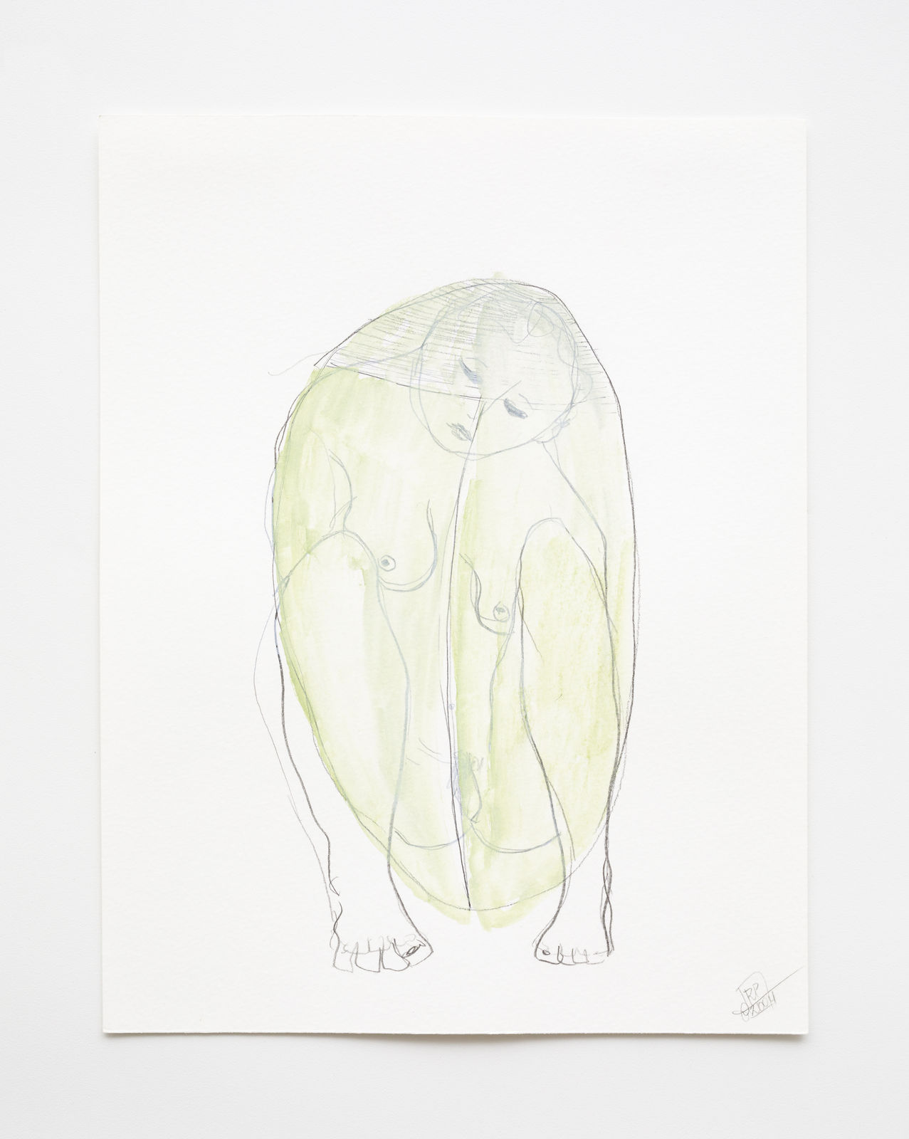 Rosana Paulino, from Carapace of Protection series, 2004