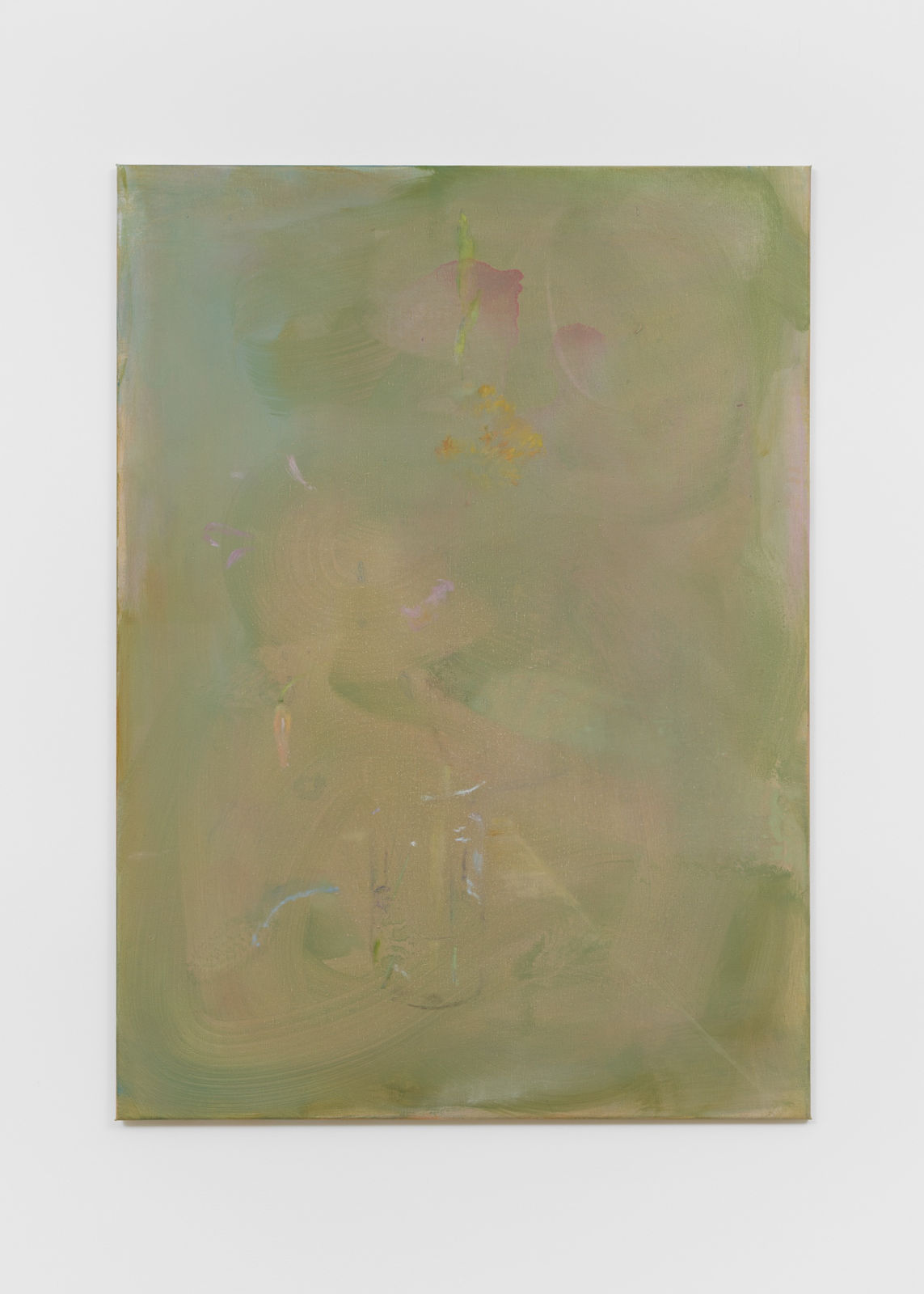 Maaike Schoorel, Birthday flowers, 2023