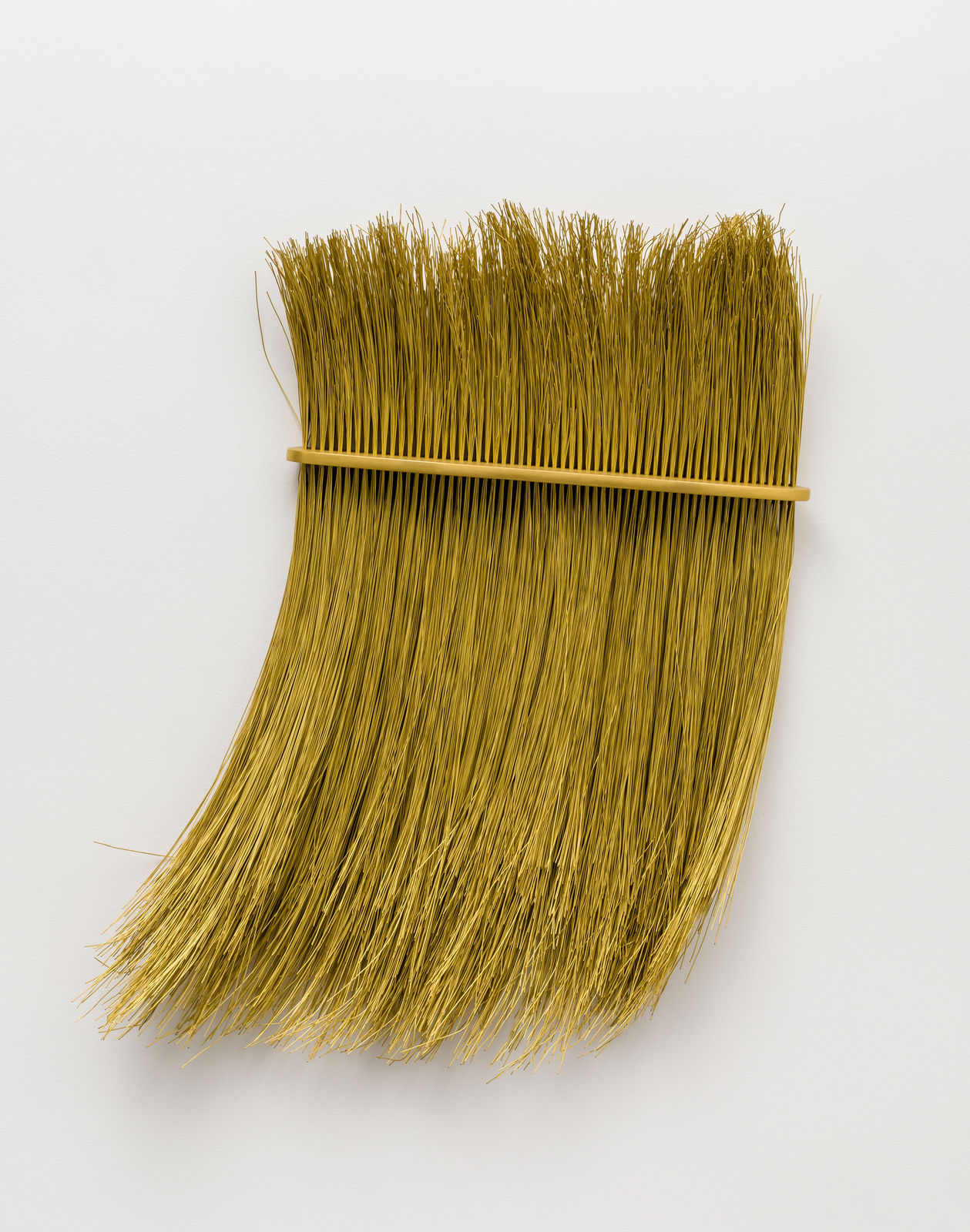 Tunga, Escalpo/Cabeleira, 1981