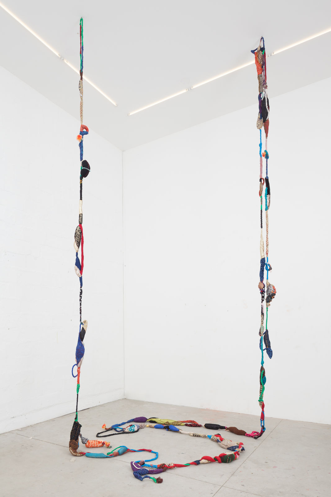 Sonia Gomes, Cordão dos Mentecaptos, 2016