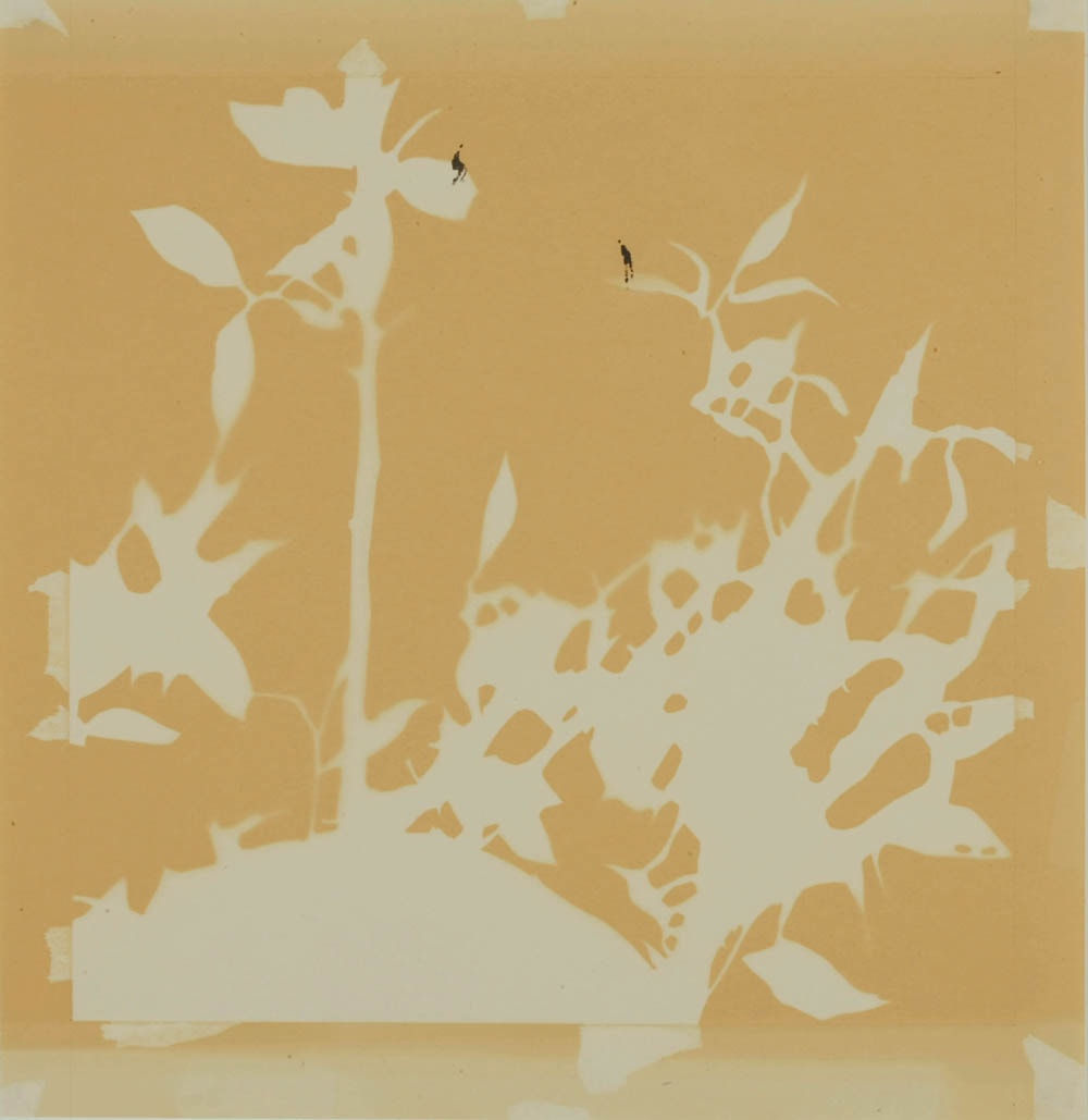 Carol Lee Mei Kuen, Wonderland (13:10pm 11_02_09), 2009