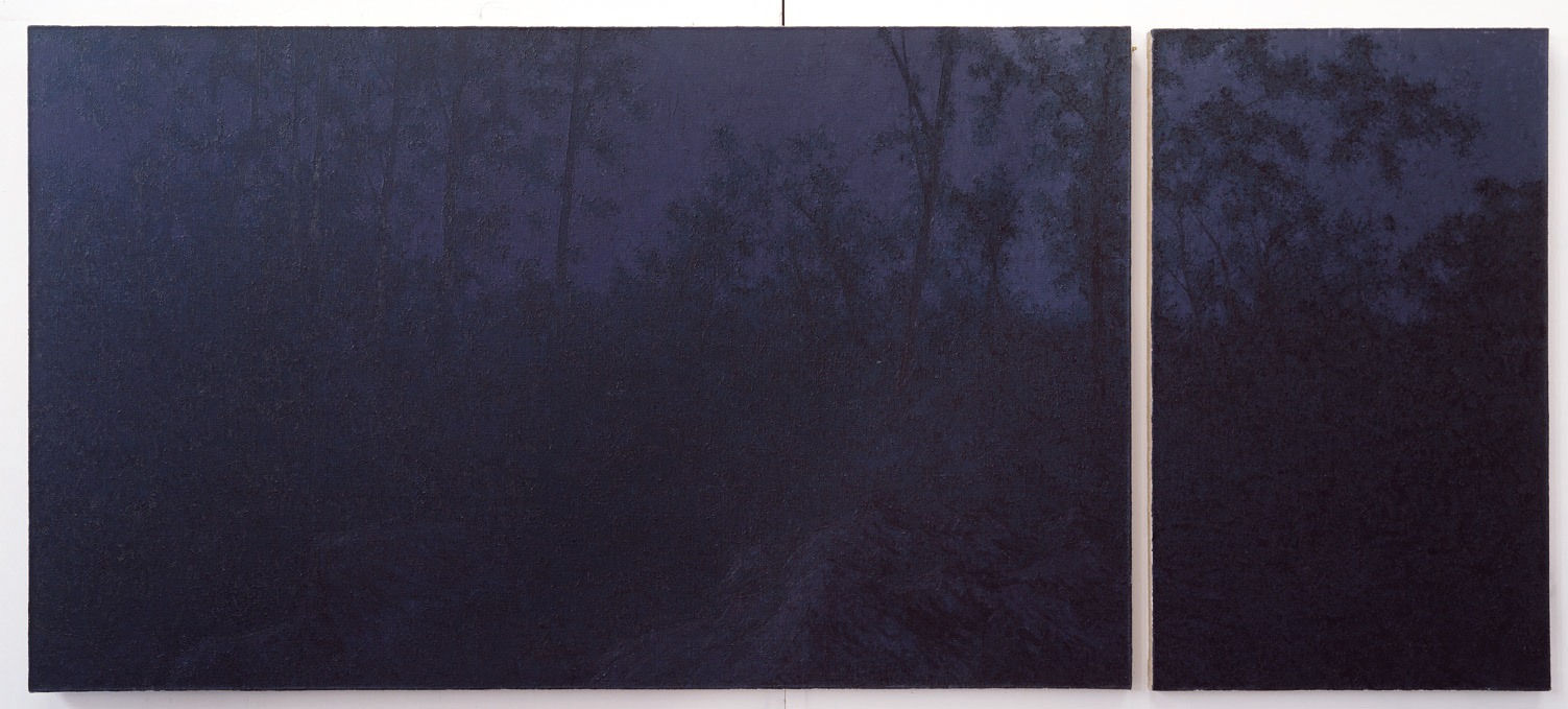 Pan Jian, Shadows without a Course, 2012