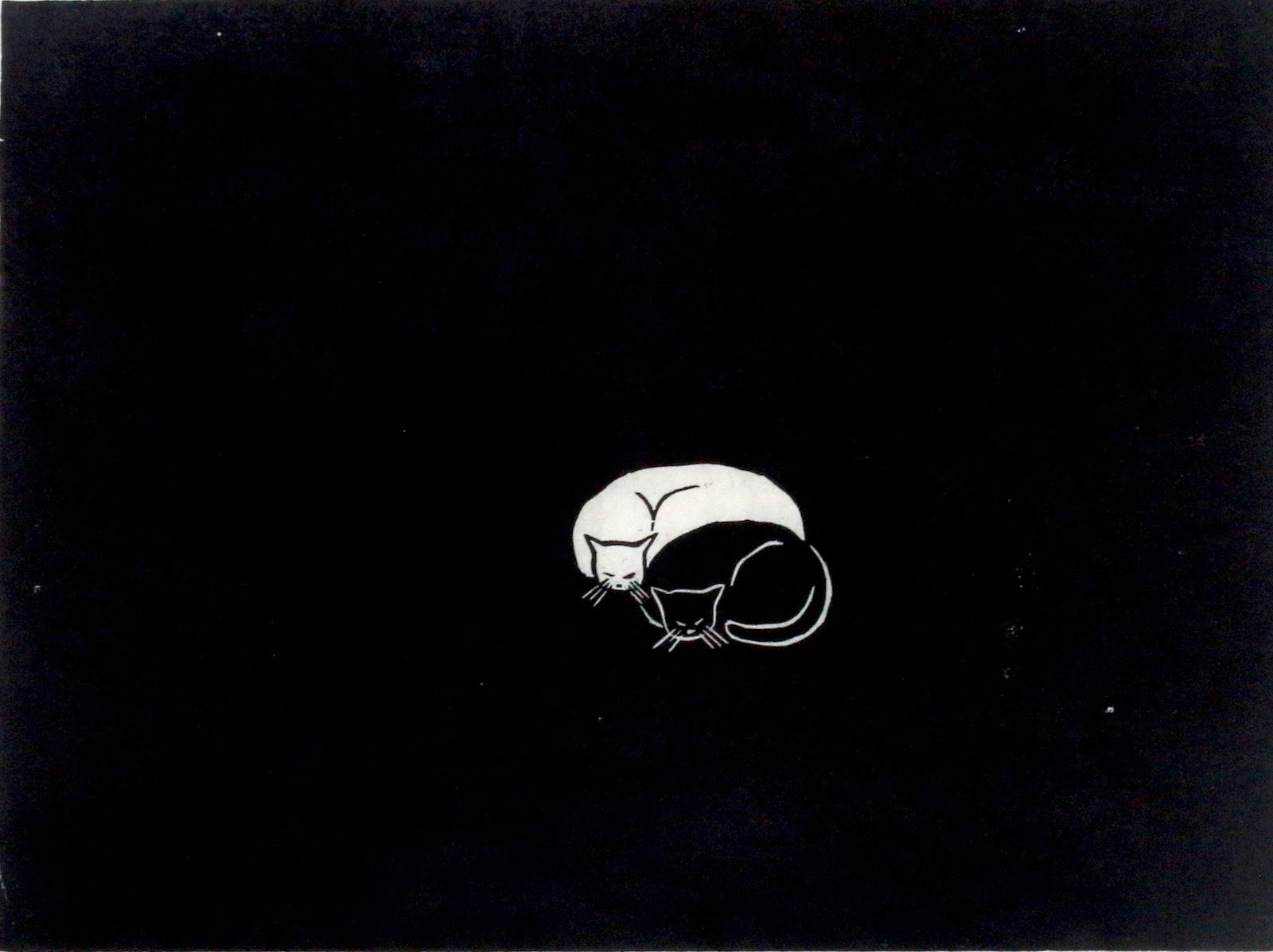 Ma Desheng, Black Cat・White Cat, 1980