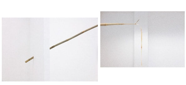 Siu Wenyan Manfred, A Wisp of Bamboo, 2017