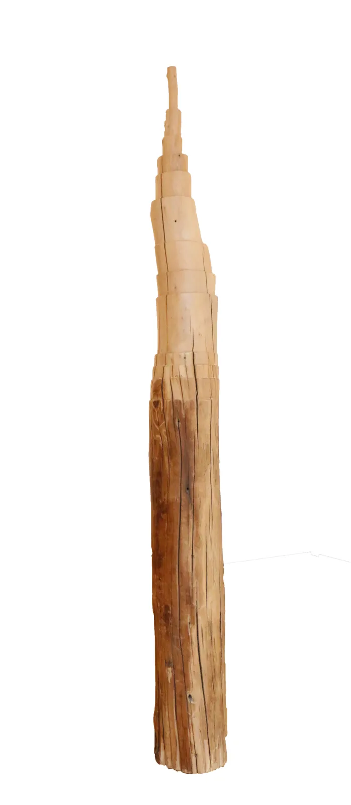 Shao Yinong, That Hrdaya No.9, 2014