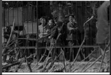 李晓斌 Li Xiaobin, 第一届星星美展 The first Stars Art Exhibition , 1979