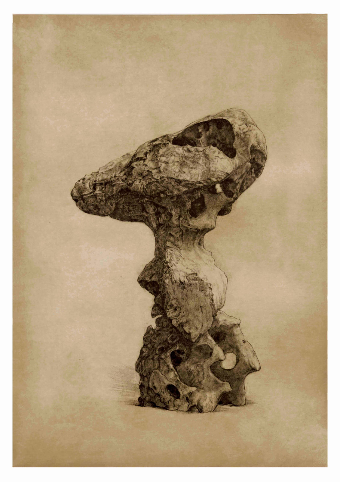 Shao Yinong, Objects of Nature - Xiaqiu, 2014