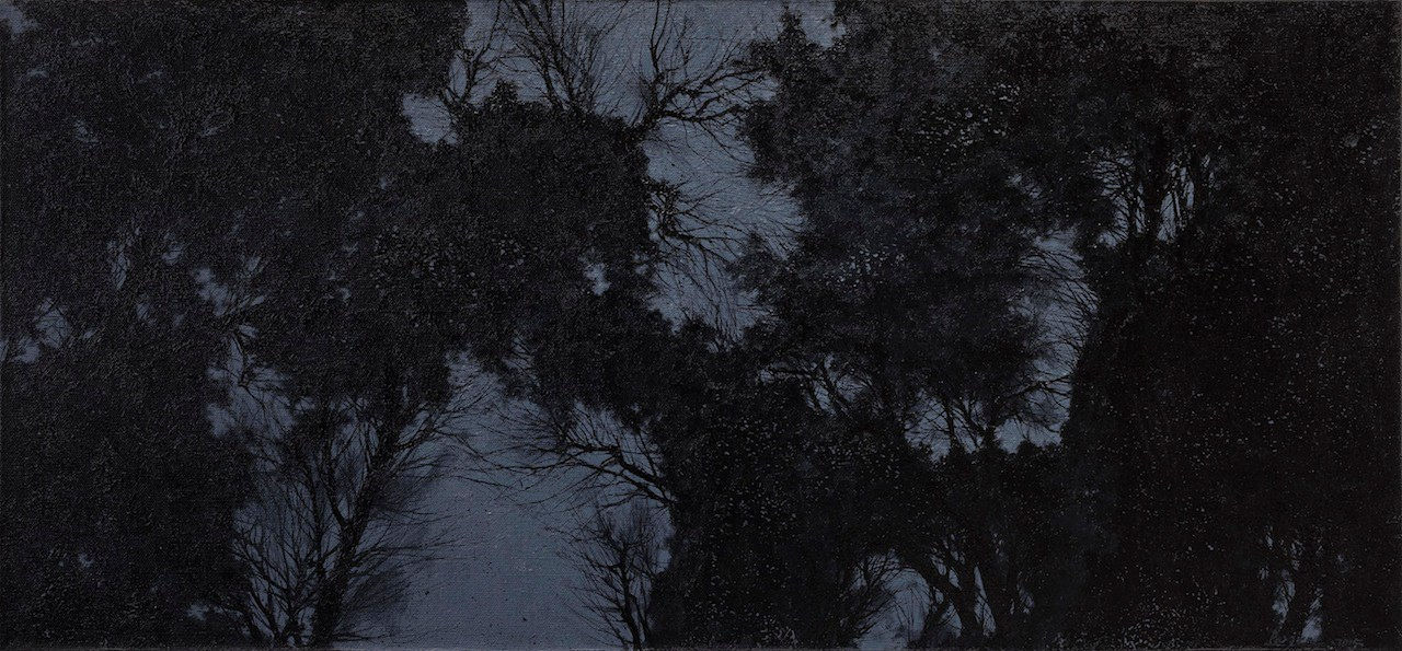Pan Jian, Shadow of Light 4, 2015