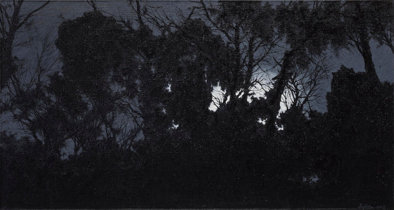 Pan Jian, Shadow of Light 6, 2015