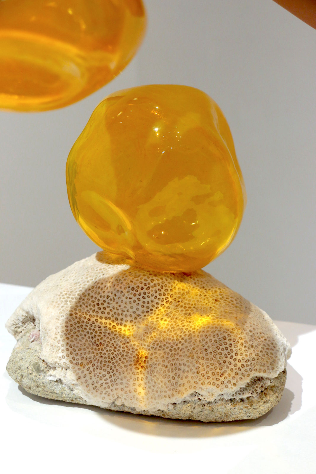 Stephanie Teng, We Will Wander Only Where The Lightning Strikes, 2024