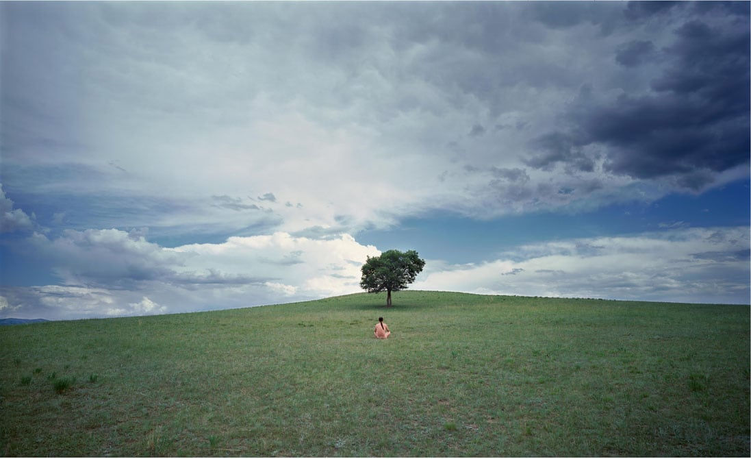 Cang Xin, Man And Sky As One Series 2 - Self-possesed, 2007