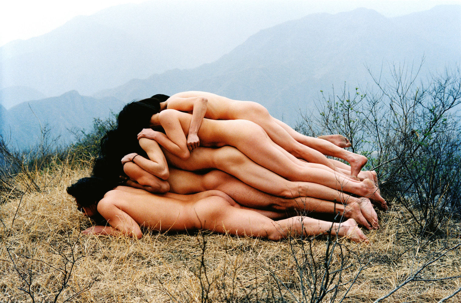 Cang Xin, To Add One Metre To An Unknown Mountain, 1995
