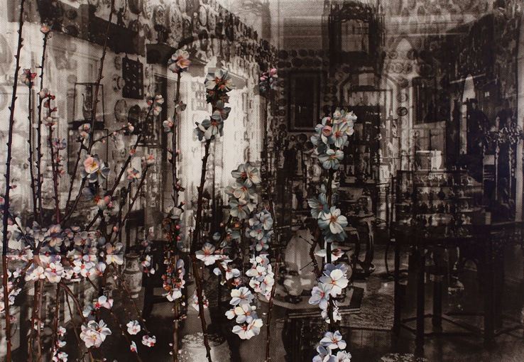 John Young, Marienbad, 2012