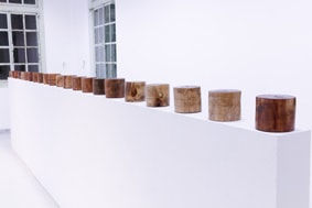 Chan Chor Yu Wayne, Contains, 2017